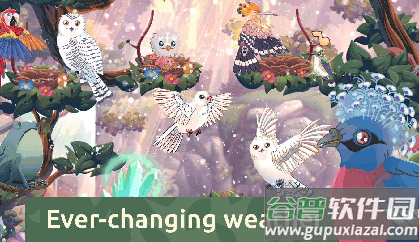 鸟类世界(Bird Kind)手机版截图2