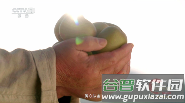 龙凤直播盒子app(L直播)