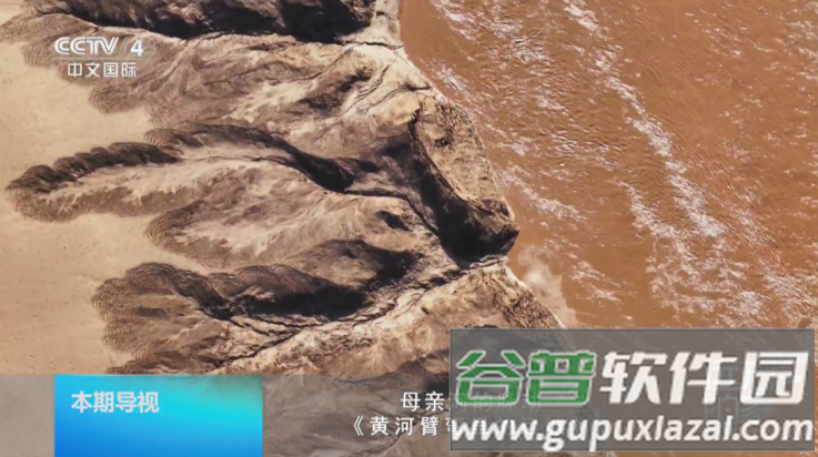 龙凤直播盒子app(L直播)截图4