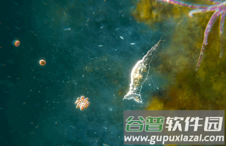 孢子模拟器(Bionix)手机版