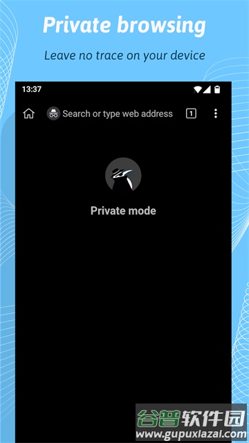 Kiwi浏览器手机版(Kiwi Browser)截图1