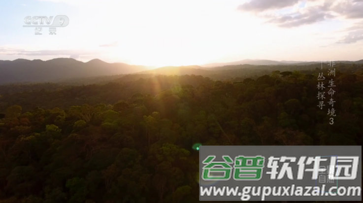 随风影库电视版app截图4