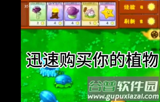 植物大战僵尸金铲铲版(Plants Vs Zombies Golden chess)