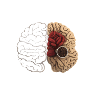 快背中医APP最新版v2.0.6