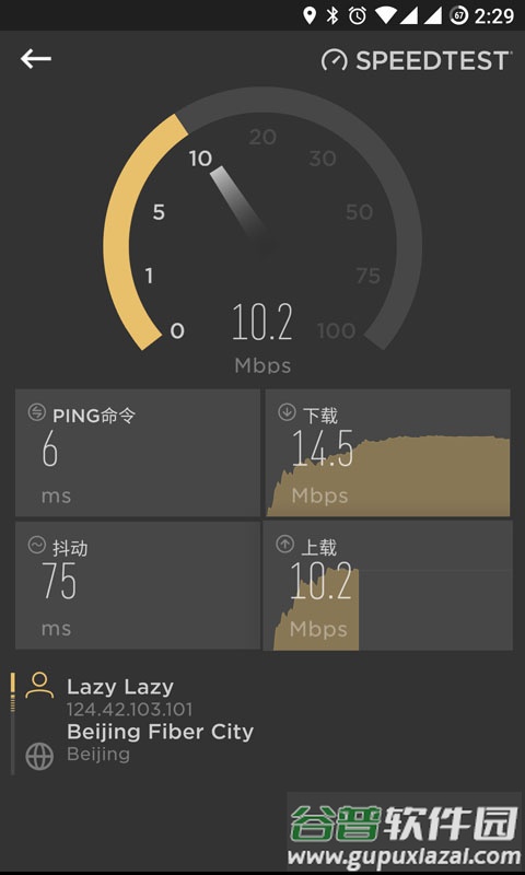 Cellular-Z网络参数查询截图2