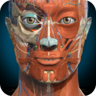 3d解剖学AnatomyLearning免费版v3.1.457