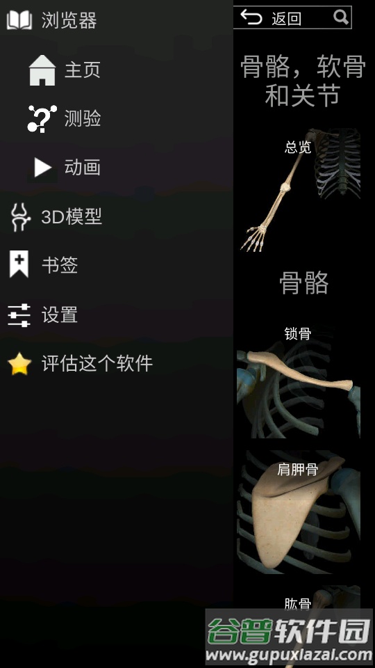 3d解剖学AnatomyLearning免费版截图2