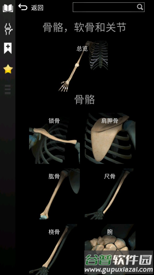 3d解剖学AnatomyLearning免费版截图3