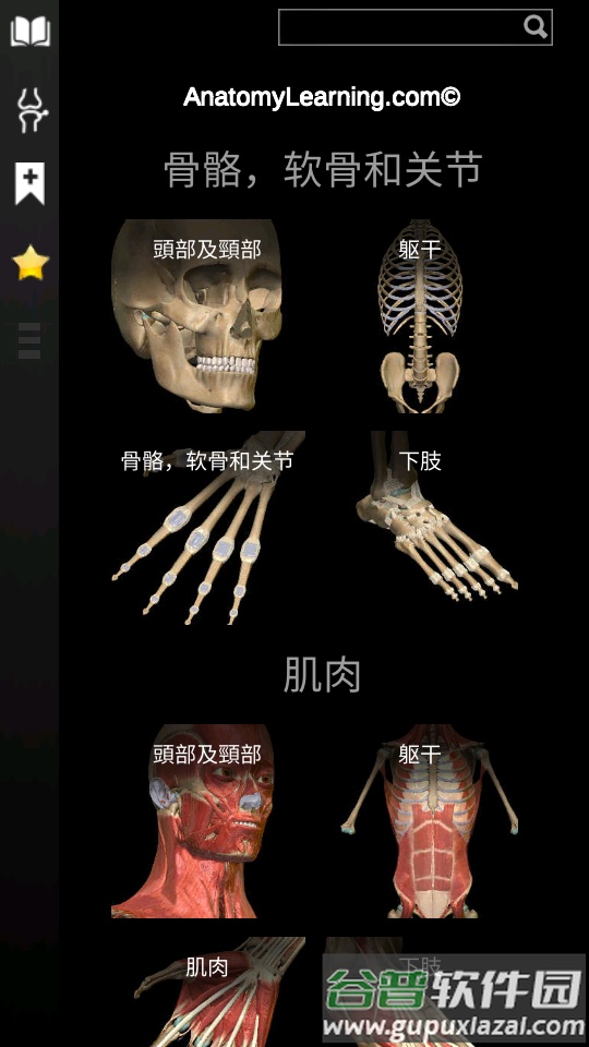 3d解剖学AnatomyLearning免费版截图4