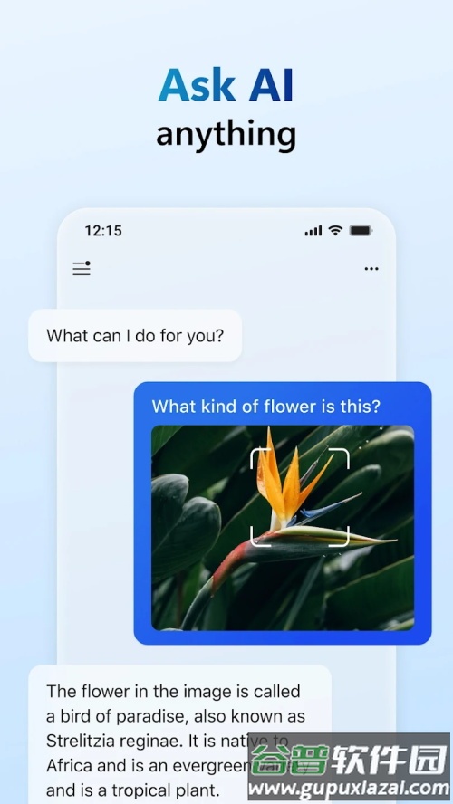 ai人工智能软件(CoPilot)高级版截图4