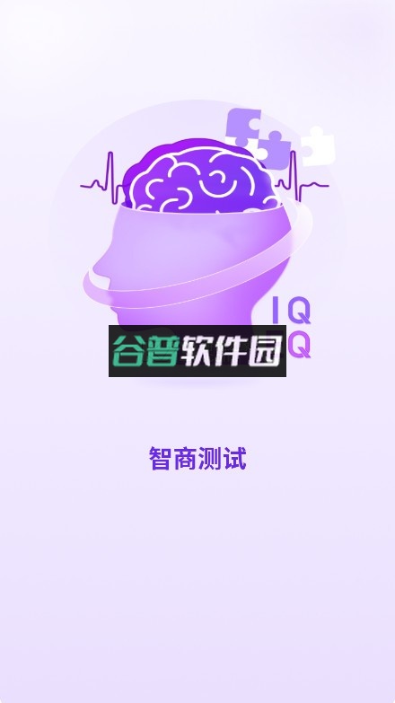 国际标准智商测试免费版截图1