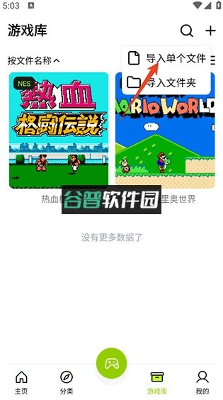 飞鸟模拟器手机版下载安装截图4