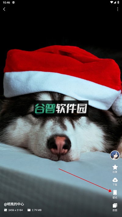 汽水壁纸app下载官方免费版截图7