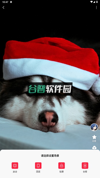 汽水壁纸app下载官方免费版截图8