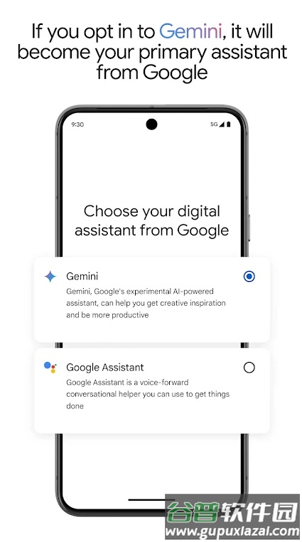 google Gemini工具截图4
