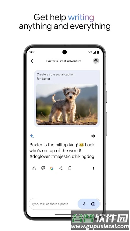 google Gemini工具截图5