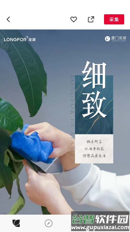 花瓣app官方版截图4