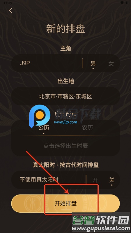 蒜蒜八字排盘软件截图5