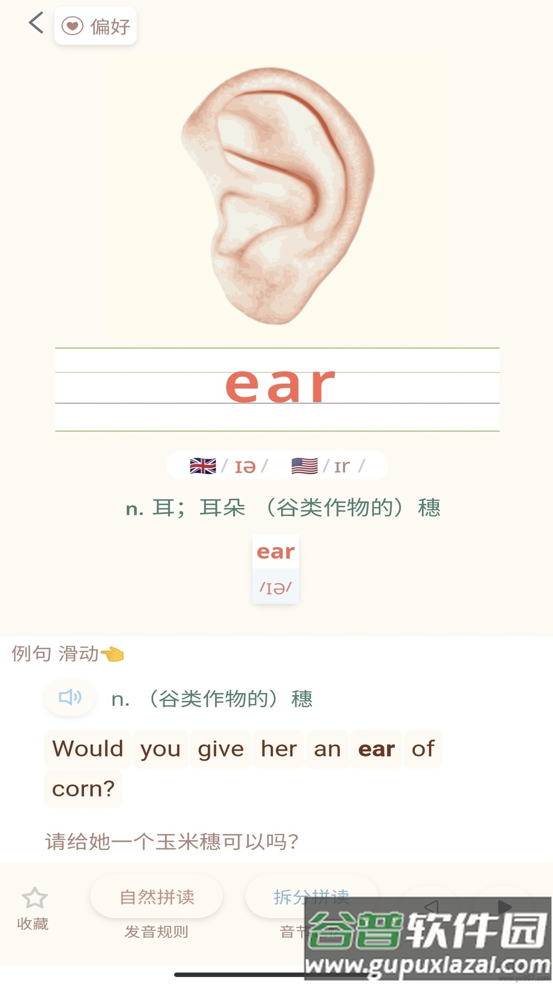 轻记单词app手机版截图3