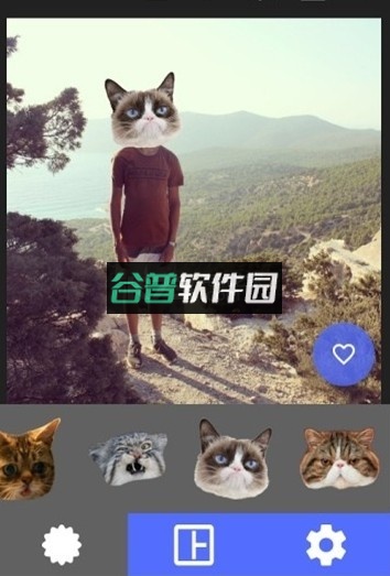 快手猫头贴纸软件下载截图3