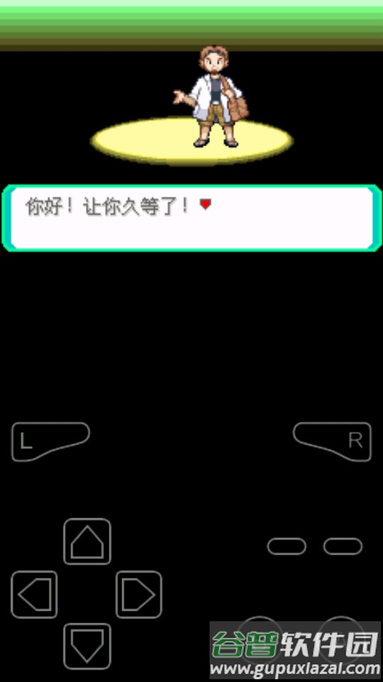 口袋妖怪究极绿宝石金手指版截图1