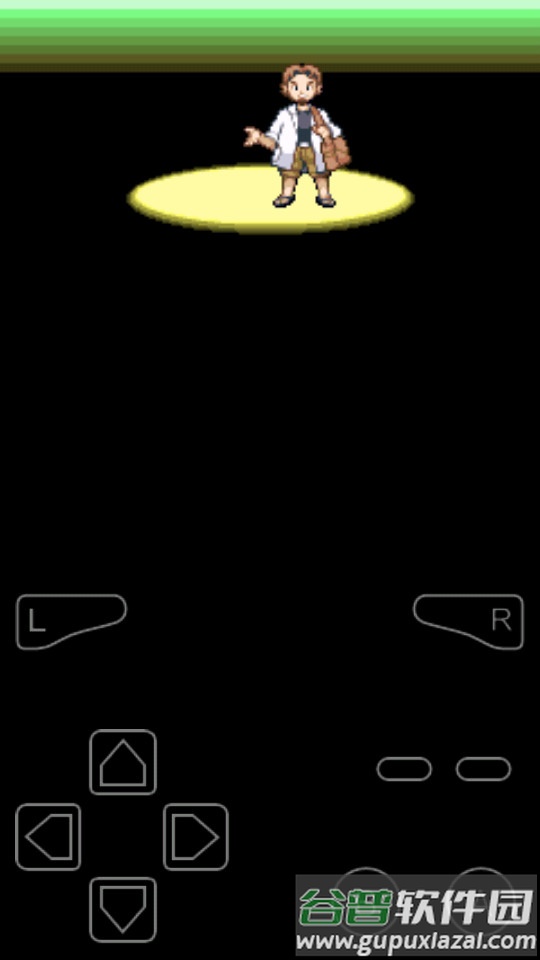 口袋妖怪究极绿宝石金手指版截图2