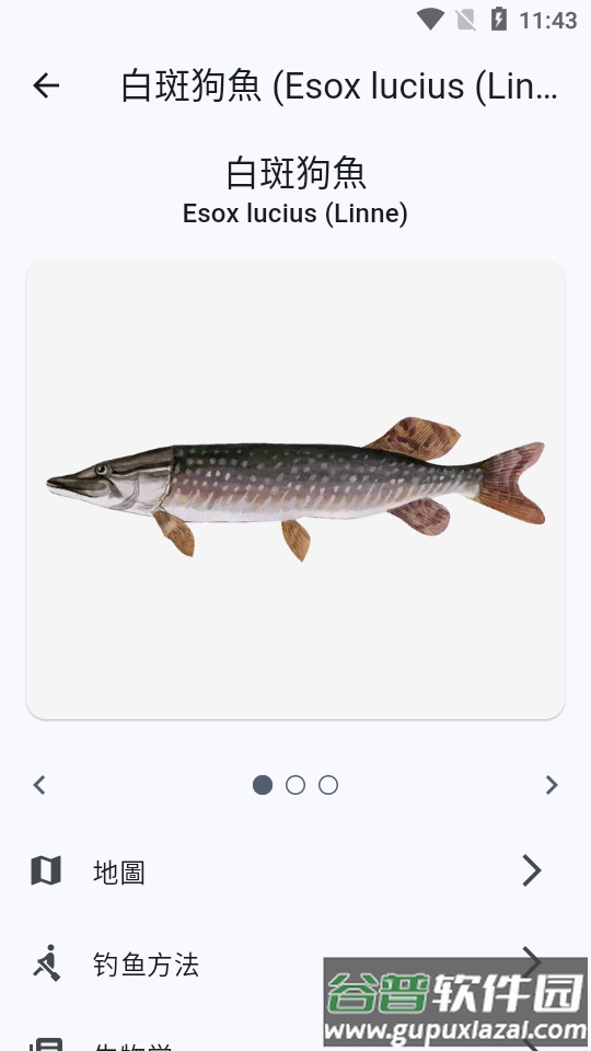 鱼星球app安卓手机版截图3