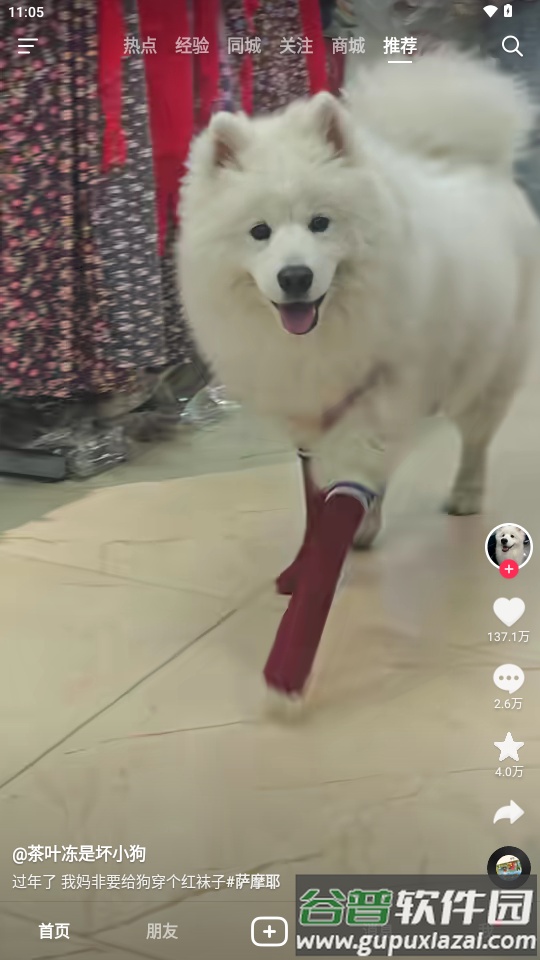 抖音华为荣耀定制版截图3