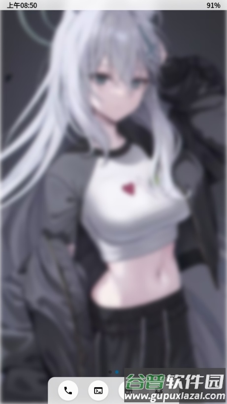 NerveOS主题截图4