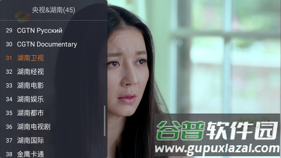 WebView电视软件apk最新版截图2