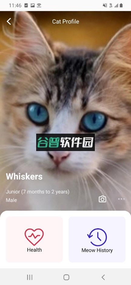 喵说meowtalk中文版截图2