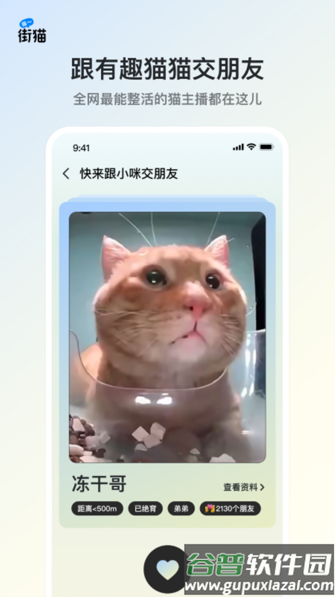 街猫app官方版截图3