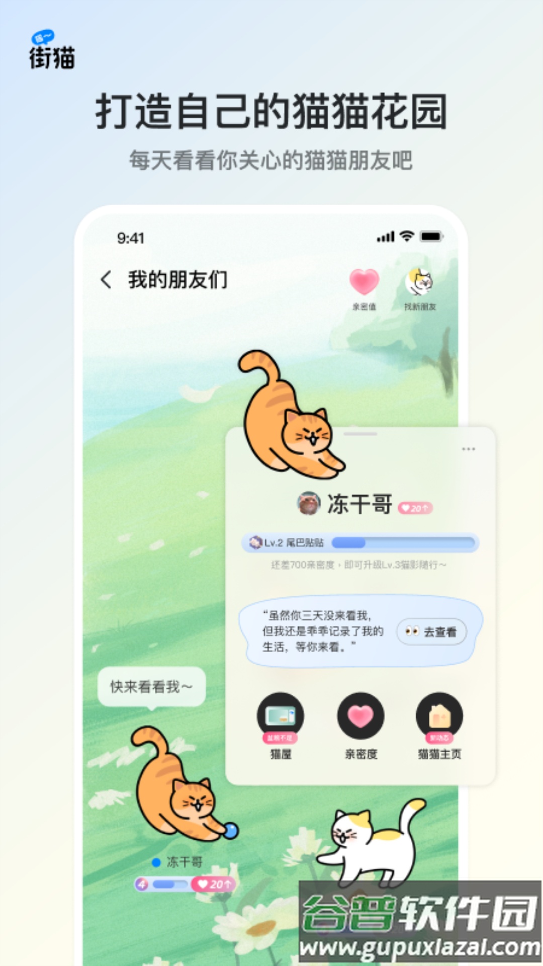 街猫app官方版截图4
