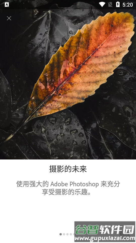 Adobe Lightroom手机版高级免费版截图4