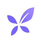 丁香医生app下载官方v11.42.0