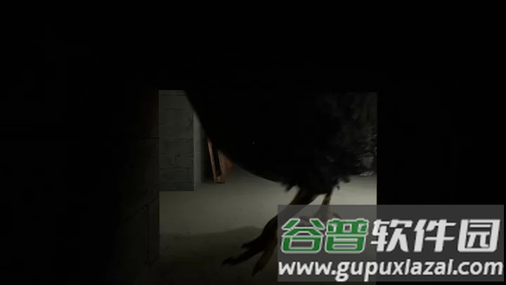 小黑子露出鸡脚最新版(小黑子真虾头)截图3