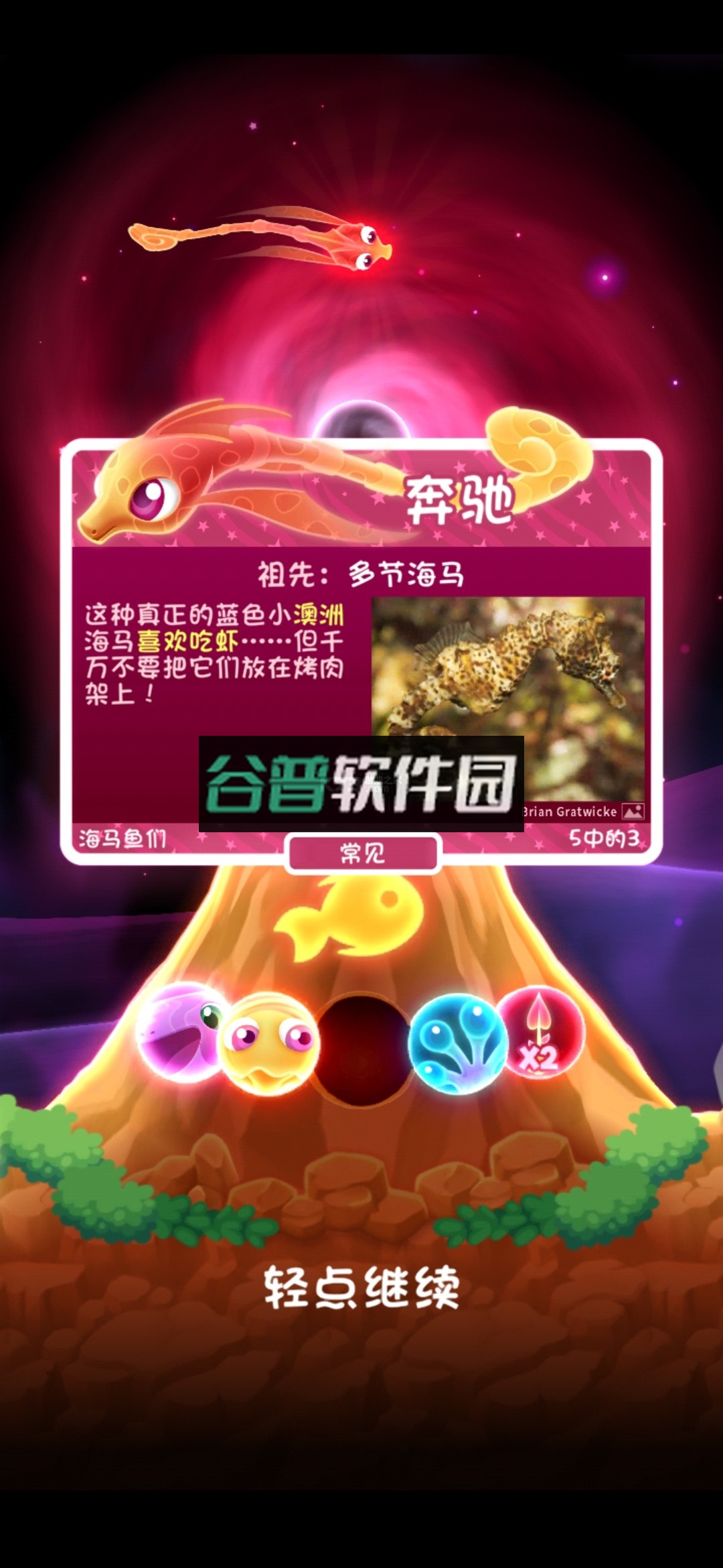 超级星鱼最新版截图5