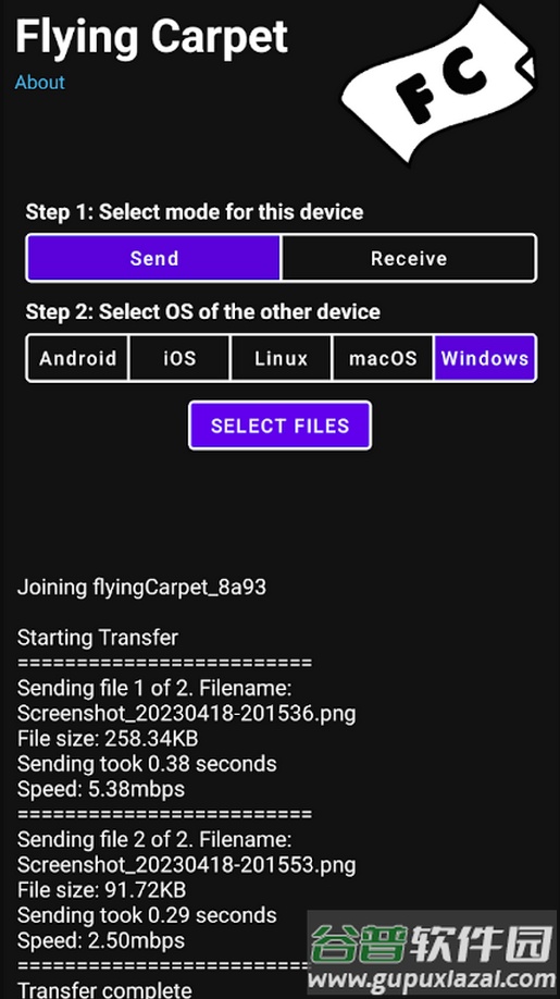 免局域网传输Flying Carpet最新版截图2