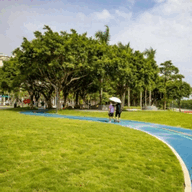 前缘TV官方版v1.2.1