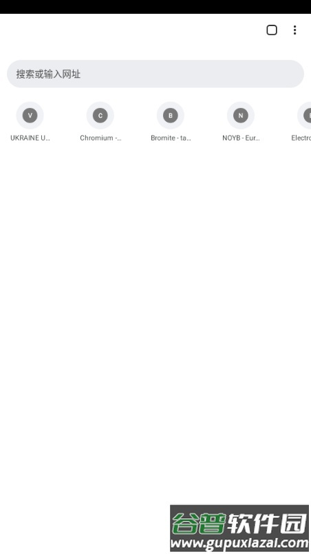 Bromite浏览器安卓版截图1