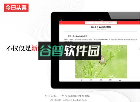 今日头条官方下载截图1