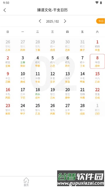 臻道文化八字排盘软件截图1