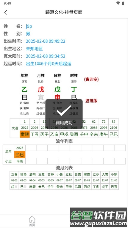 臻道文化八字排盘软件截图3