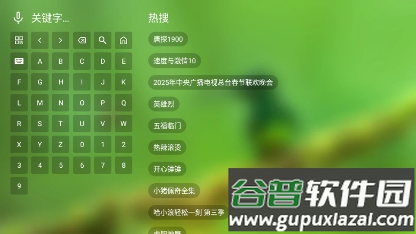 宝全视界TV版本截图1