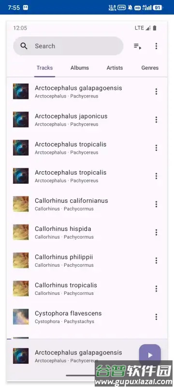 Phocid本地音乐播放器截图1