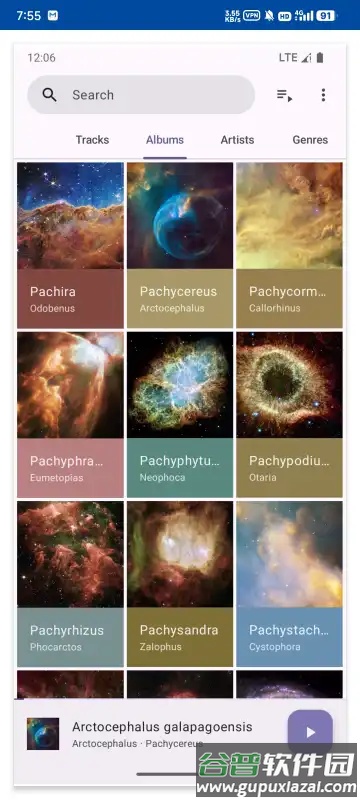 Phocid本地音乐播放器截图3