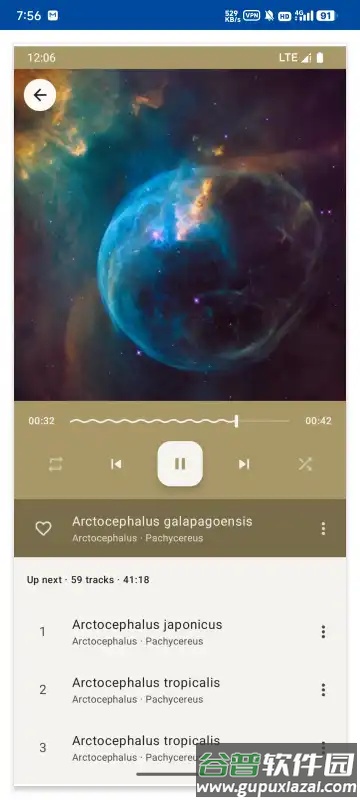 Phocid本地音乐播放器截图5