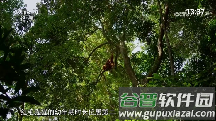 宝盒爱看app最新版截图4