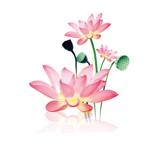 水墨工具箱app安卓手机版v9.9.9