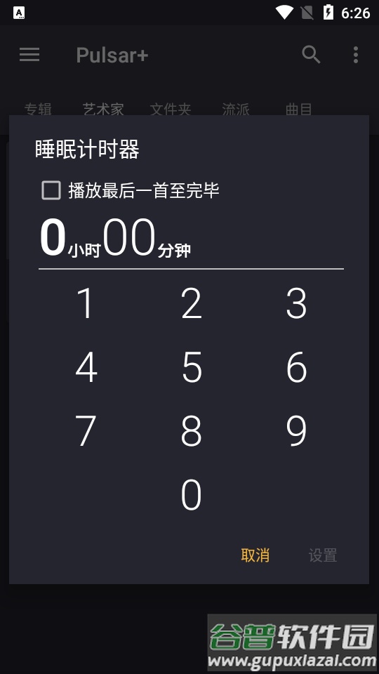 Pulsar+音乐播放器免费版截图1